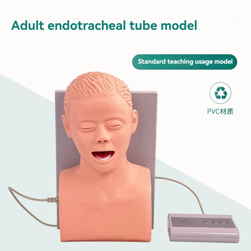 Electronic Tracheal Intubation Training Mannequin with Tooth Pressure Alarm Human Simulation Model for Medical Skills Practice