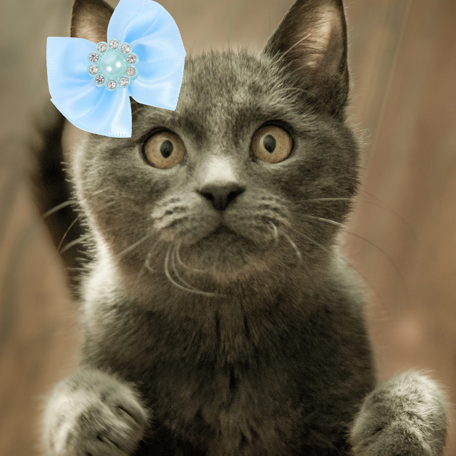 

20pcs Pet Hairbands Dog Hair Accessories Elastic Bows Bowtie for Small Medium Large Dogs Cats Christmas Birthday Party Use