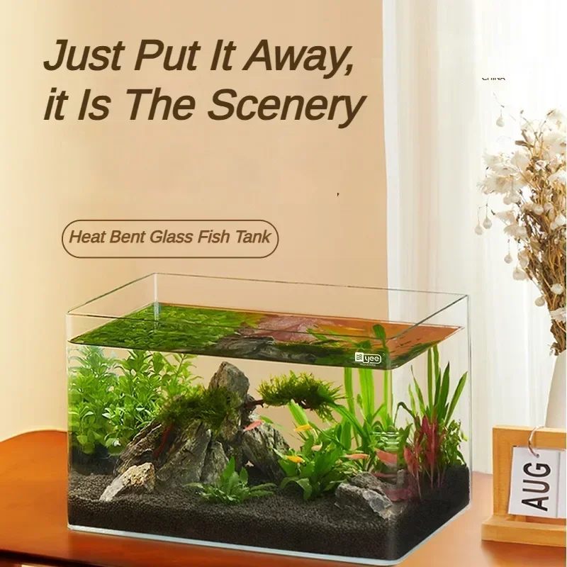 Glass Fish Tank Explosion-proof Glass Thermal Bending Desktop Small Aquarium Turtle Ecological Tank with Decorated Accessories