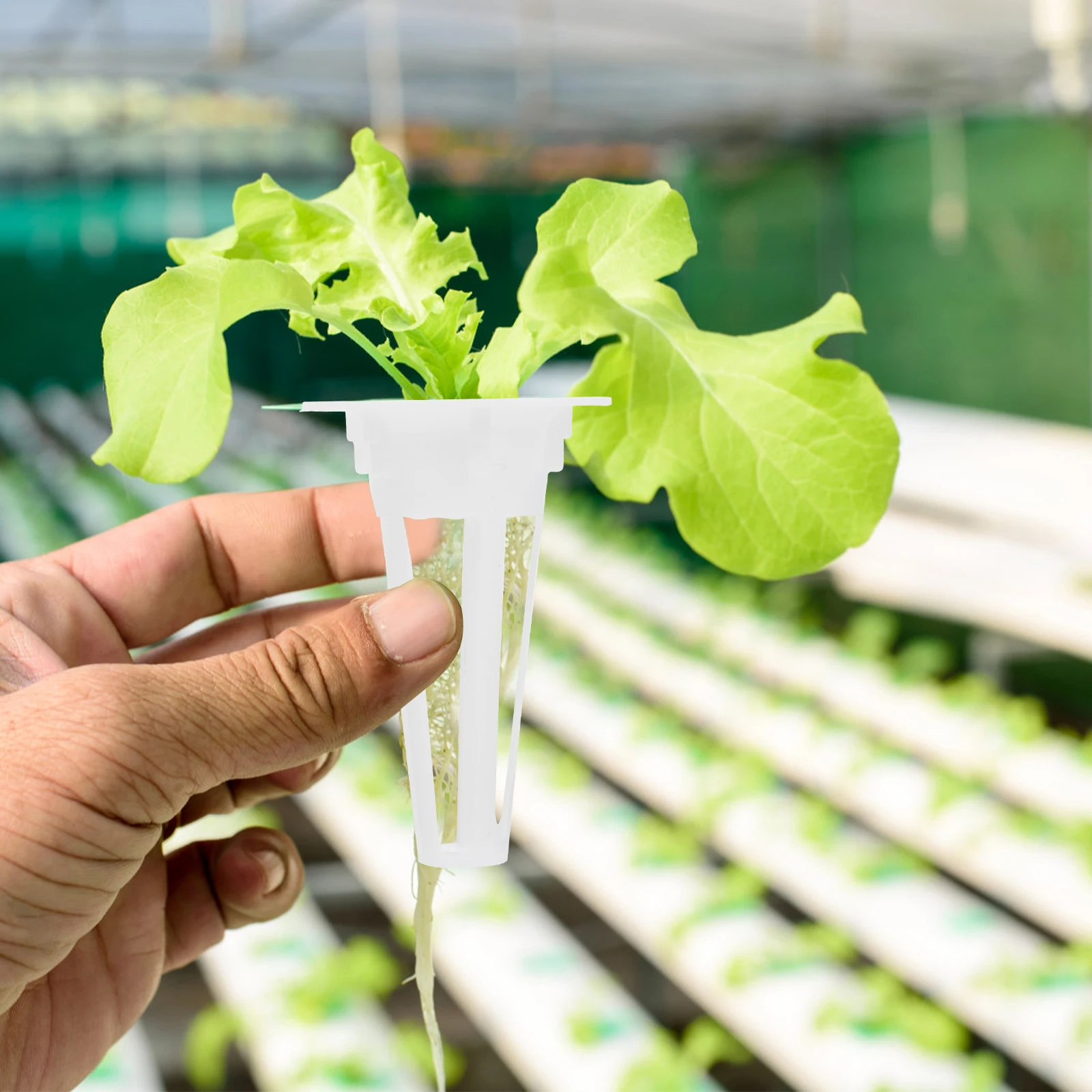 

50pcs Hydroponic Baskets Mini Planting Pots Durable Plastic Gardening Supplies Reusable Slotted Design Water Drainage