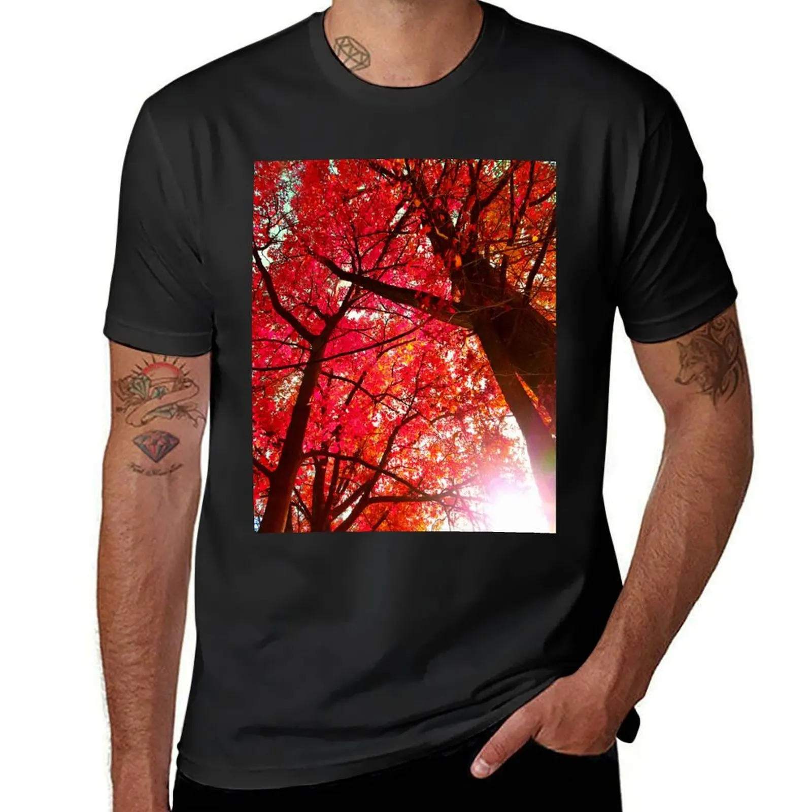 

Autumn Trees T-Shirt oversized summer tops oversizeds mens big and tall t shirts