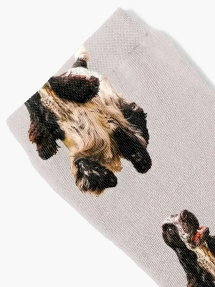 Cocker Spaniel on a merry dog walk Socks Christmas winter gifts Women's Socks Men's