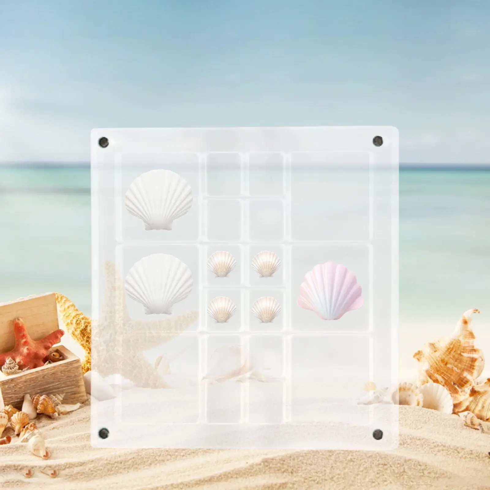 Acrylic Seashell Display Box 5.6x5.6in Decorative Square Shell Storage Container Transparent for Trinket Jewelry Beads Starfish