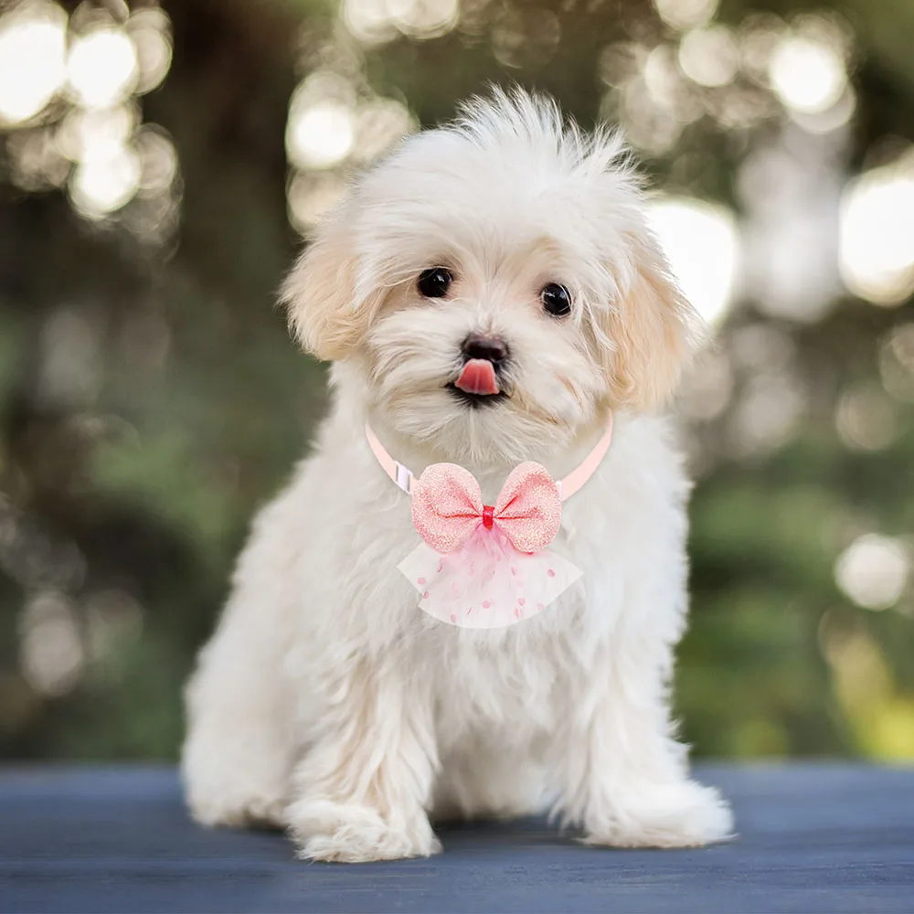 Thumbnail 4 - #35 Latest Puppy Bandanas Offers