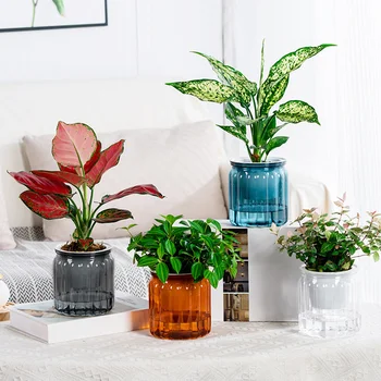 Elegant Self-Watering Plant Pot 2