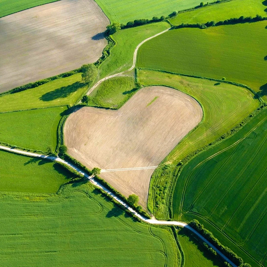 

12,3-дюймовый Android 13 для Land Rover Discovery 3 2004-2009 Автомобильный медиаплеер L R3 CarPlay Android AUTO GPS Радио 5G Навигация