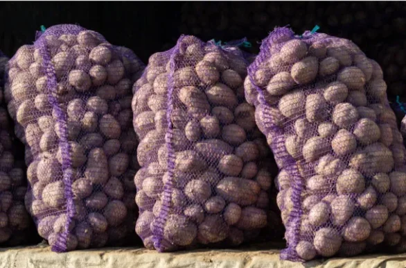 2025년 공장 직영 레노 메쉬 과일 및 채소 포장용 고품질 인쇄 제품 가지 및 감자 포장 백