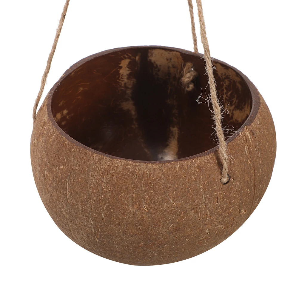 

Coconut Shell Flower Pot Home Decor Baskets Plants Small Small Plant Wall Garden Spacesaving