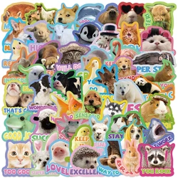 50PCS Animals Encourage Phrase PVC Sticker Aesthetic Color Decoration Scrapbooking Sketchbook Stationery School Rewards Supplies