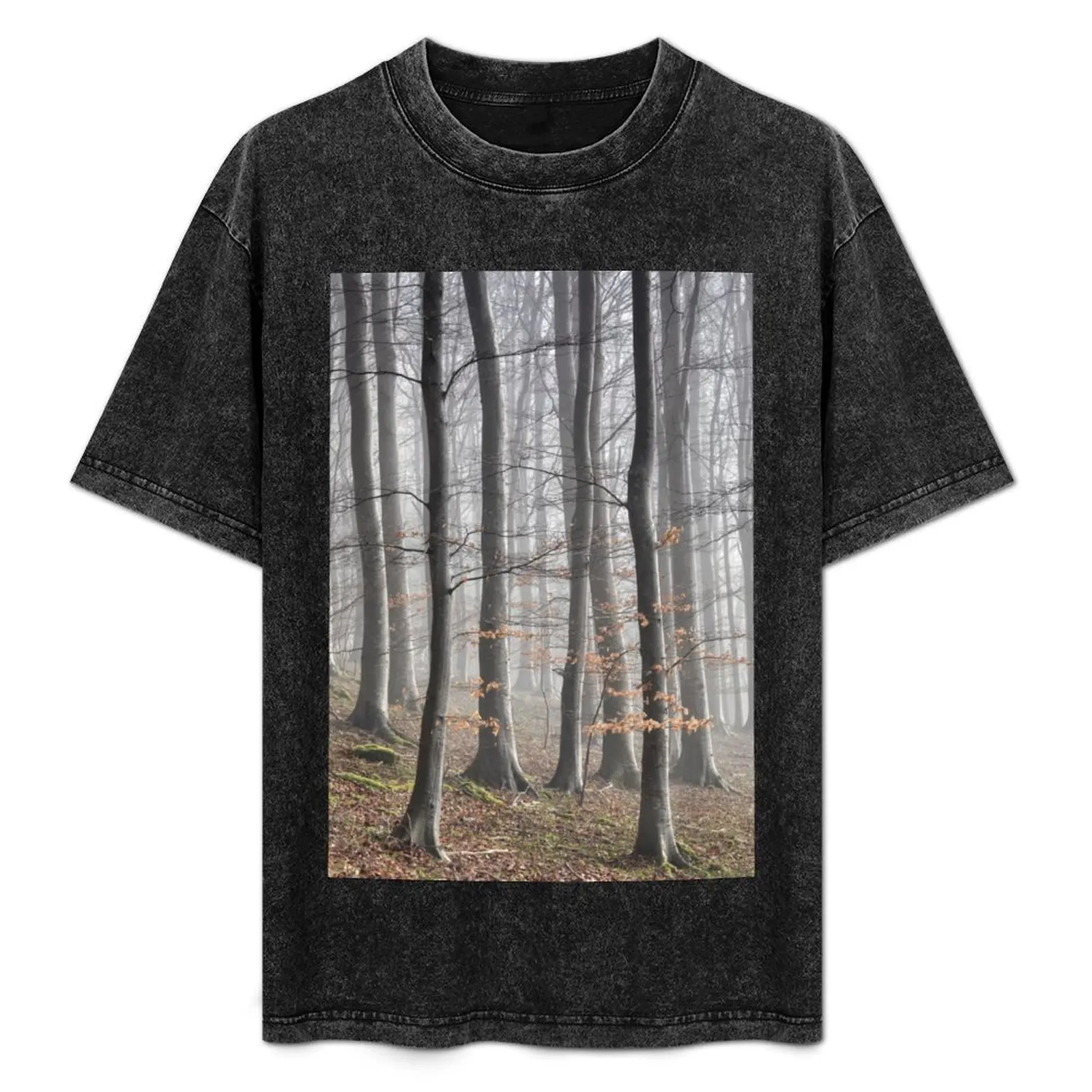 

Beech Tree Woodland and Mist T-Shirt essential t shirt graphic t shirts plus size tops blanks vintage t shirt men