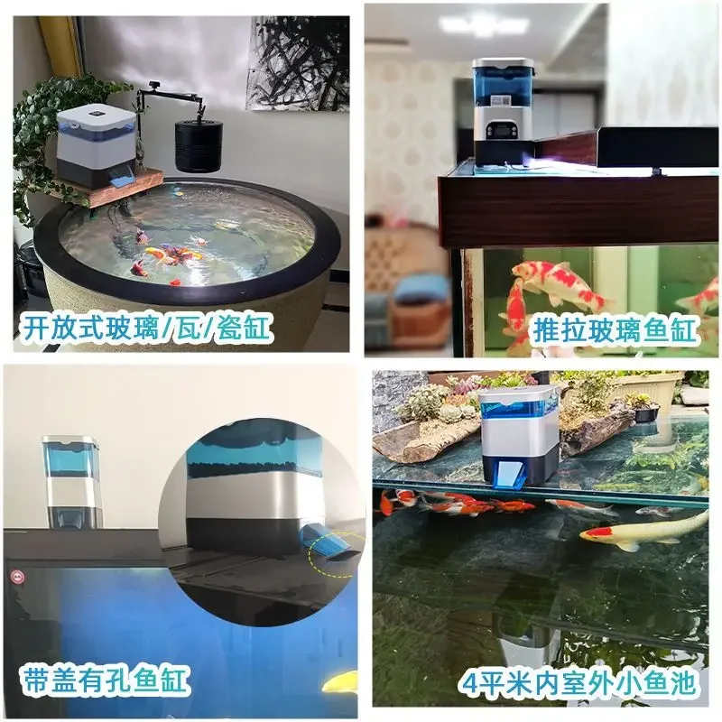 Intelligent fish feeder, indoor and outdoor fish tank, arowana turtle large particle automatic feeder