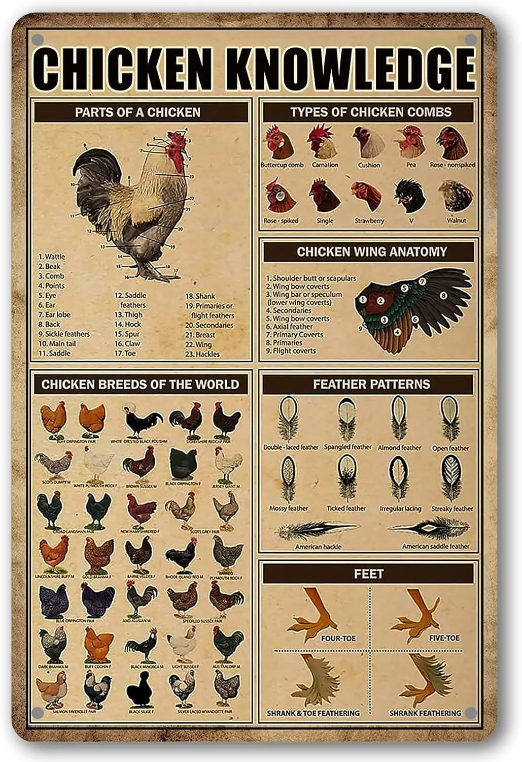 Chicken Knowledge Metal Tin Sign Chicken Coop Signs Wall Decor Breeds Of Chickens Retro Farm Chicken Signs For Coop Funny Outdoo