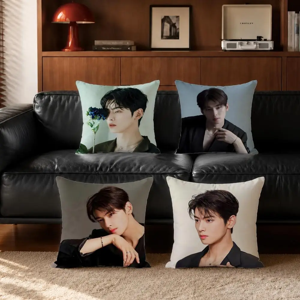 actor Cha Eun Woo Cushion Cover Cushion Cover Set  50x50 45x45 40x40 Pillowcase Decorative Sofa Home Decor