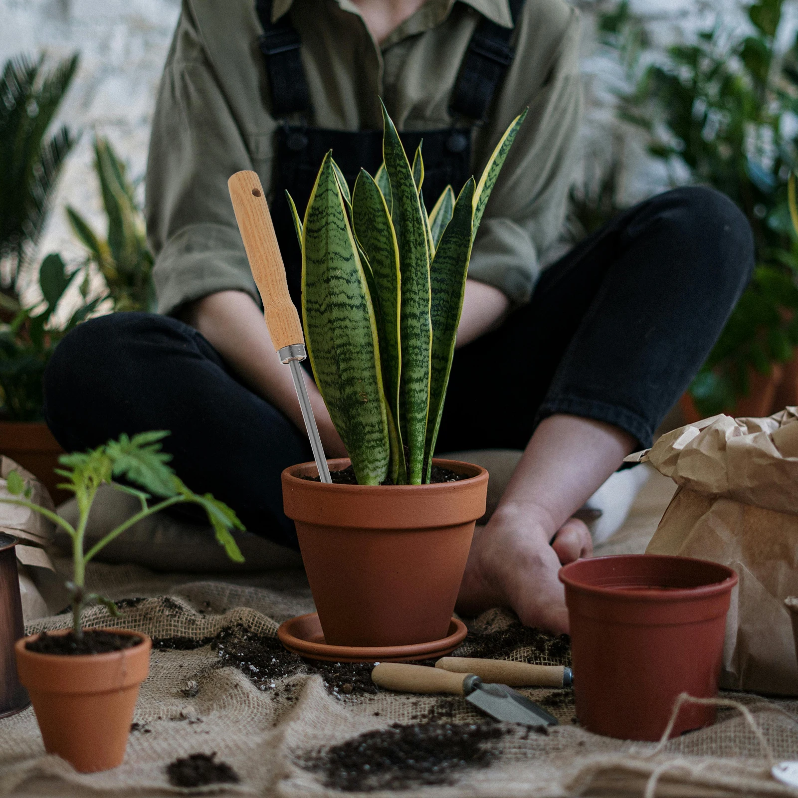 나무 손잡이 뿌리 뽑기 다용도 정원 도구 (식물 파기, 심기, 잡초 제거, 흙 풀기, 민들레 잡초 이식용)