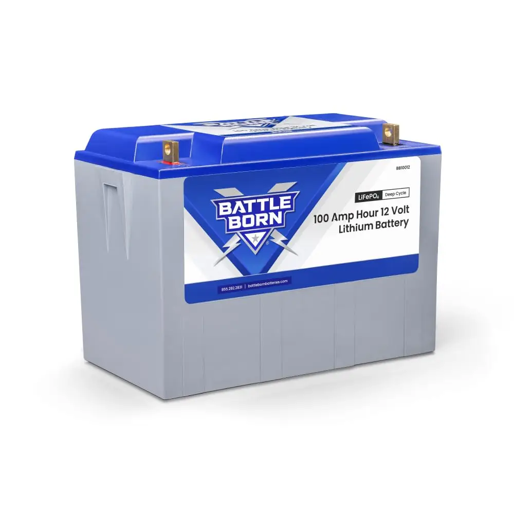 

100Ah 12V LiFePO4 Battery Internal BMS High Low Temp Protection RV Marine Solar Off Grid Custom