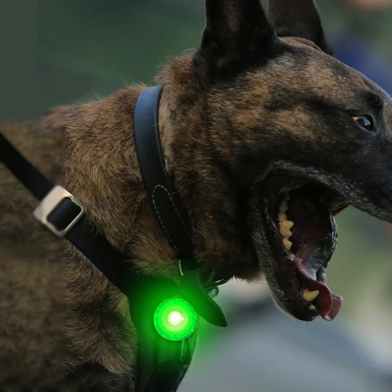 Night Safety Dog Collar Glowing Pendant LED Flash Lights Pet Leads Accessories USB Rechargeable Necklace Anti-lost Dog Collar