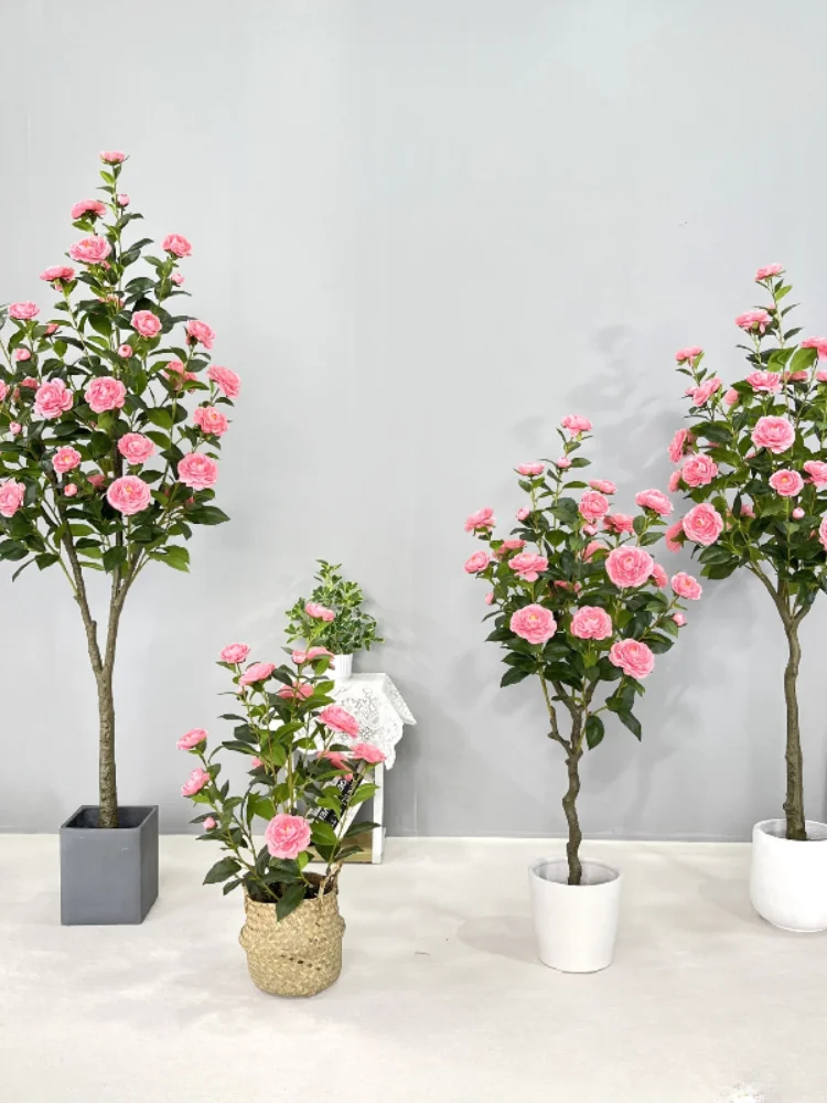 

Simulation Camellia Tree Camellia Artificial Green Plant Potted Plant Home Decoration Floor Plant Manufacturer Wedding Camellia