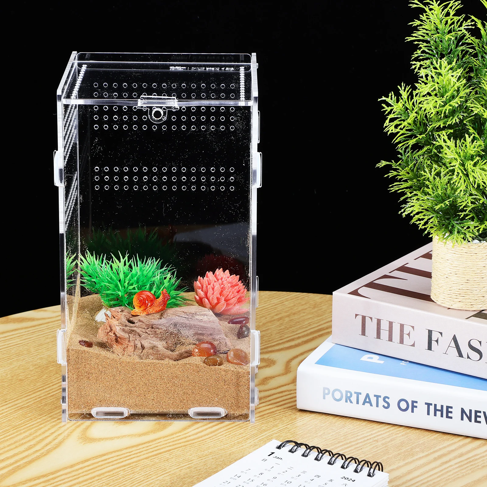 

Easy Assembly Reptile Enclosure Transparent Spider Terrarium Compact Lightweight Tarantula Box Sturdy Acrylic Insect Habitat