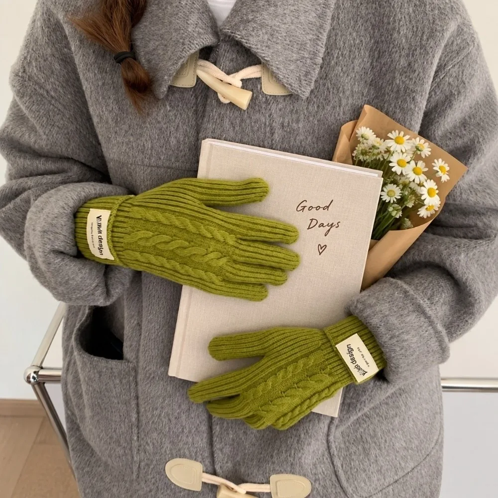 Polyester Cable Knitted Gloves Solid Color One Size Full Finger Gloves Long Cuff Design Warm Lining Cold Proof Gloves Winter