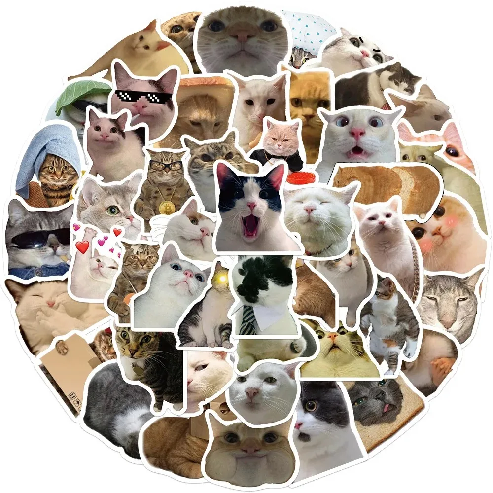 QSUPOKEY 50PCS Cute Meme Animal Cat Kitty Stickers Skateboard Guitar Suitcase Freezer Motorcycle Classic Toy Decal Funny Sticker