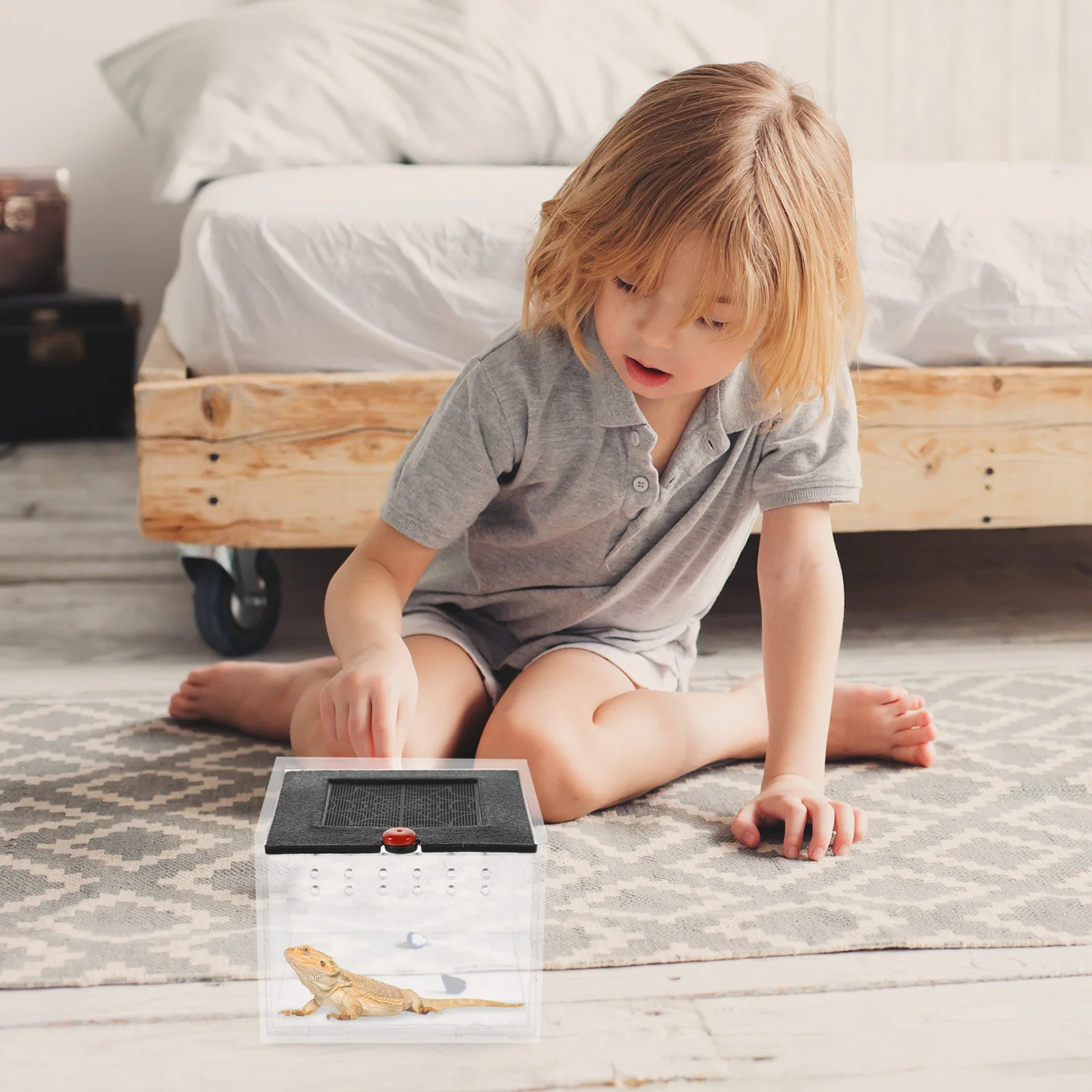 

Reptile Feeding Box Breathable Acrylic Spider Terrarium with Ventilation for Small Animals Habitat Feeding Box