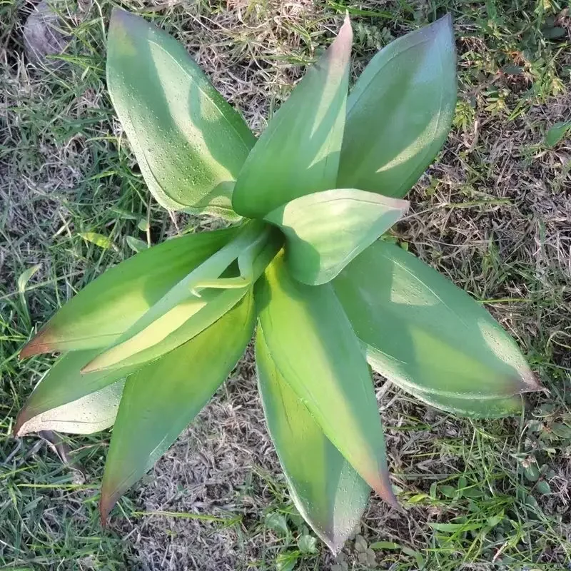 21cm Artificial Agave Plant Fake Foliage for indoor outdoor Wedding Home Party Decoration