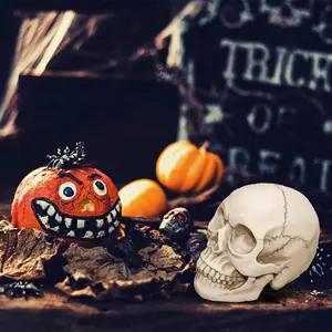 6 Büyük satış, kalıp silikon kafatası-büyük sayı 5