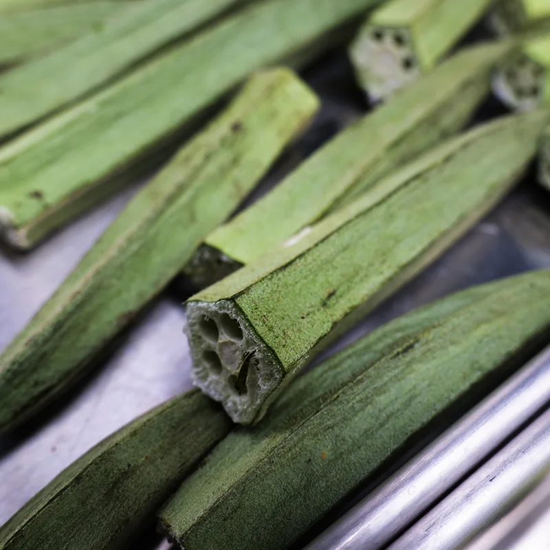 Automatic 4kg Home Freeze Dryer Machine for Food Vegetable & Fruit Processing with Pump Gear & Engine Core Components