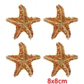 PE17899CT