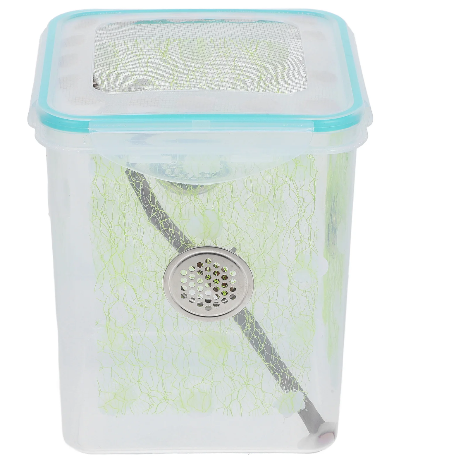 

Mantis Box Clear Plastic Wood Breeding Container For Spiders Crickets Snails Reptile Insect Habitat Ventilated Feeding