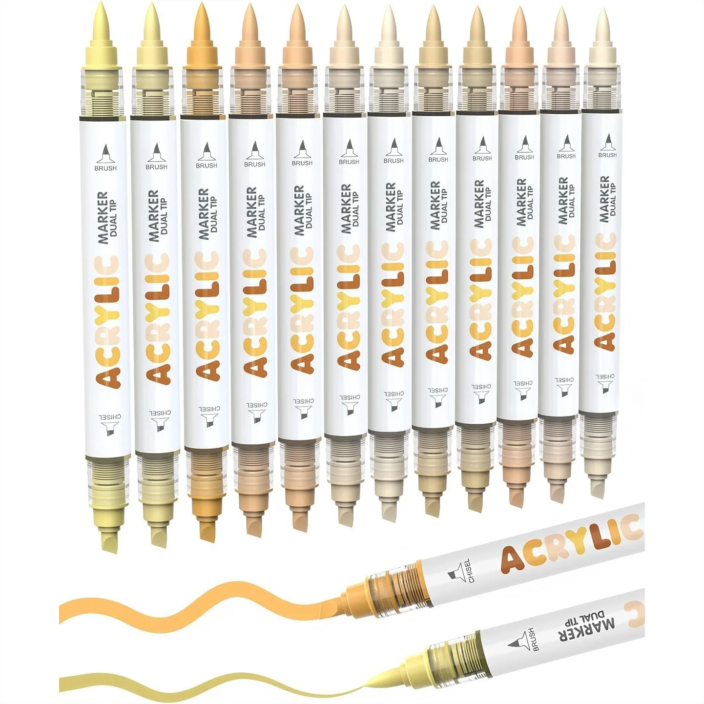 

12 Skin Tone Dual Tip Acrylic Paint Markers, Brush & Chisel Tips for Rock, Wood, Glass, Canvas, Water-Based Ink