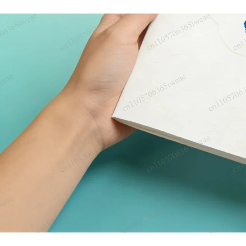 Special link for shipping price difference 2 small laptops DY-TN Xiang