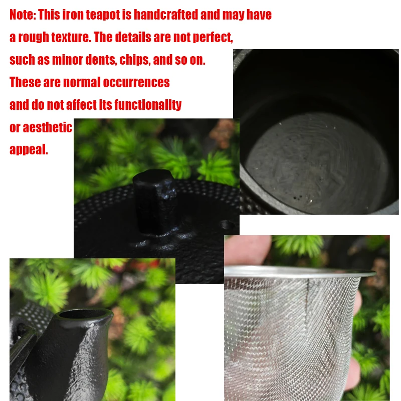 300ML  Tea Pot with Stainless Steel Infuser Cast Iron Teapot Tea Kettle for Boiling Water Oolong Tea