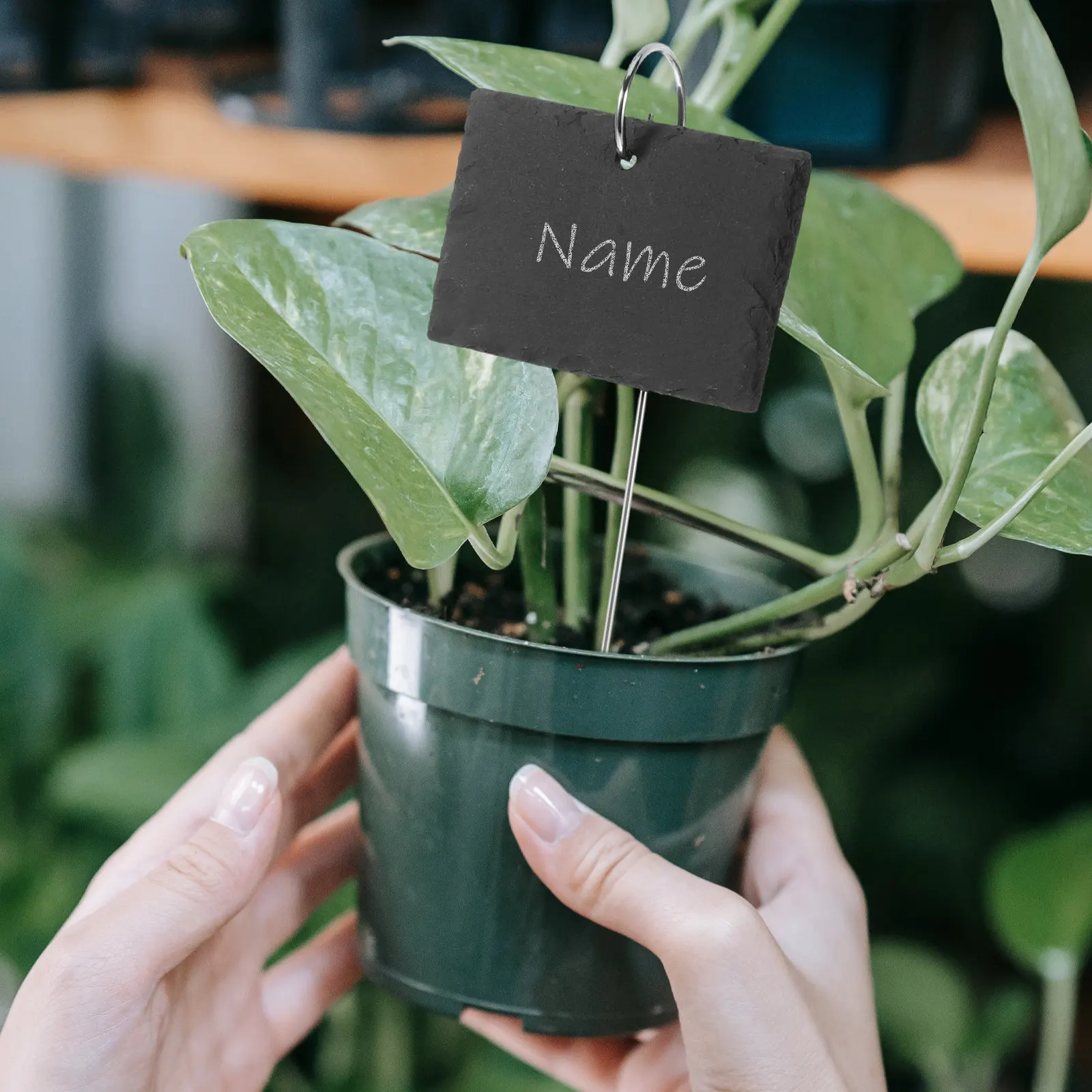 

Набор из 5 современных садовых маркеров для растений из нержавеющей стали, для цветочных горшков, для использования в помещении и на улице, для питомников и садов