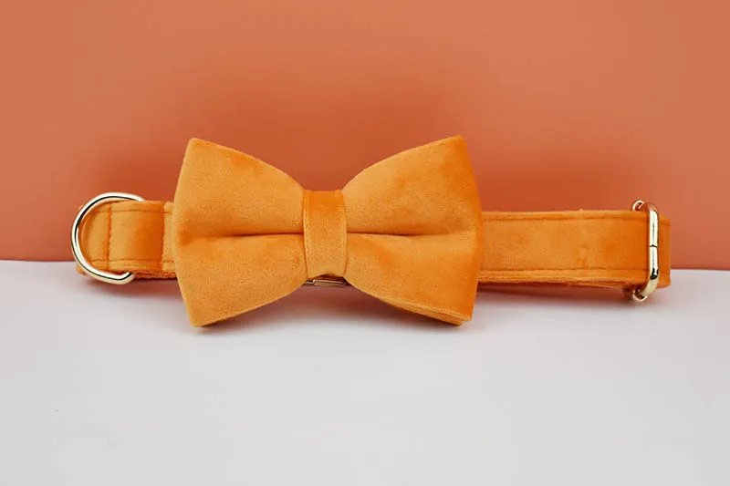 Orange Samt-Hundehalsband und Leinen-Set für Hunde, individuell graviertes Namensschild, Heimtierbedarf, Hundeleine aus Samt 41 – Detail 5