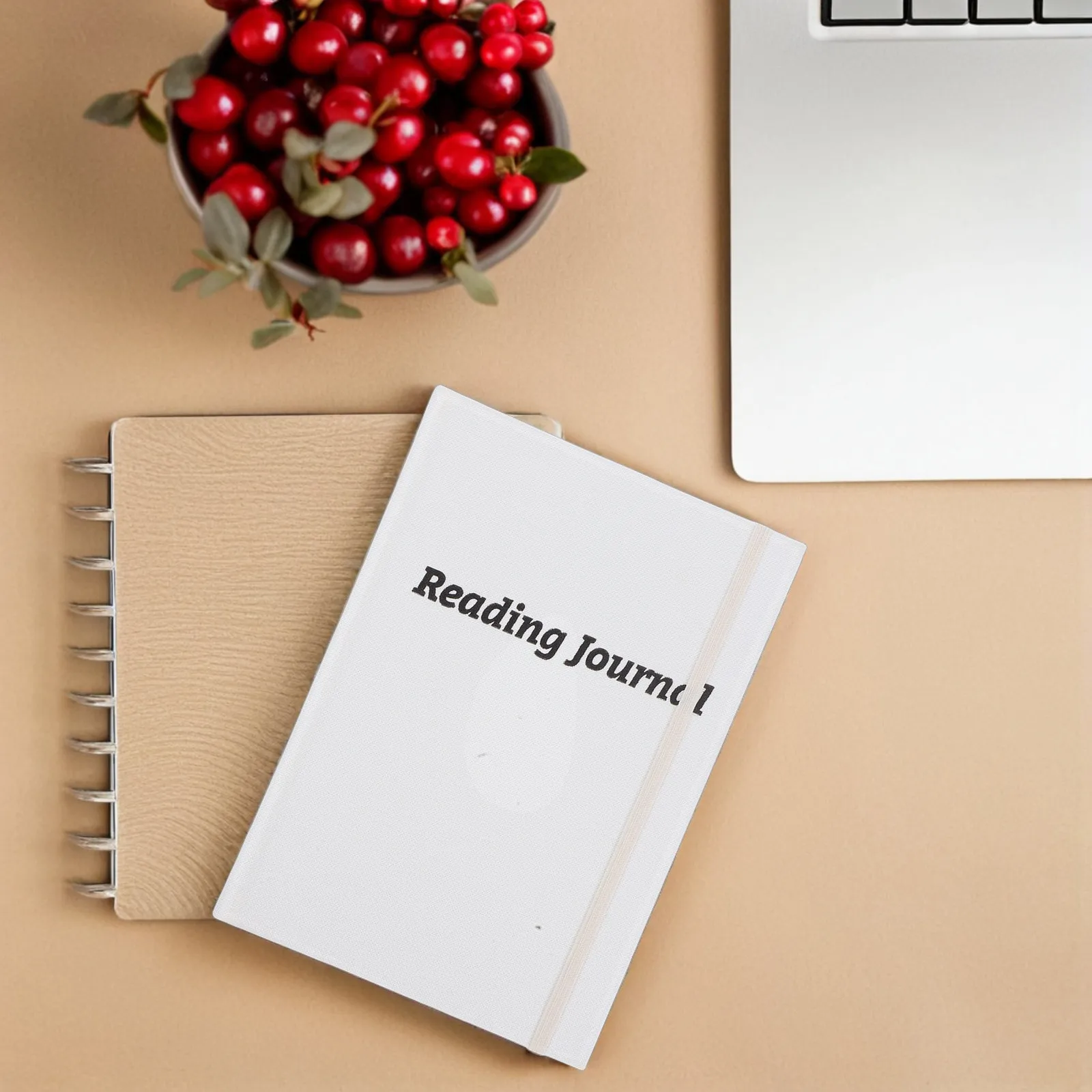 cuaderno-de-lectura-a5-diario-de-notas-papel-resistente-compartible-regalo-de-navidad-ano-nuevo-cumpleanos-organizador-con-pestanas-mensuales