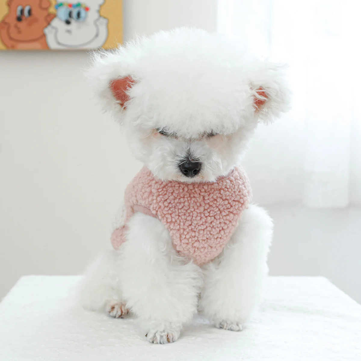 1PC Pet Clothing Autumn/Winter Plush Thick Pocket Chest Back Vest Pink Coat Suitable for Small and Medium Dogs