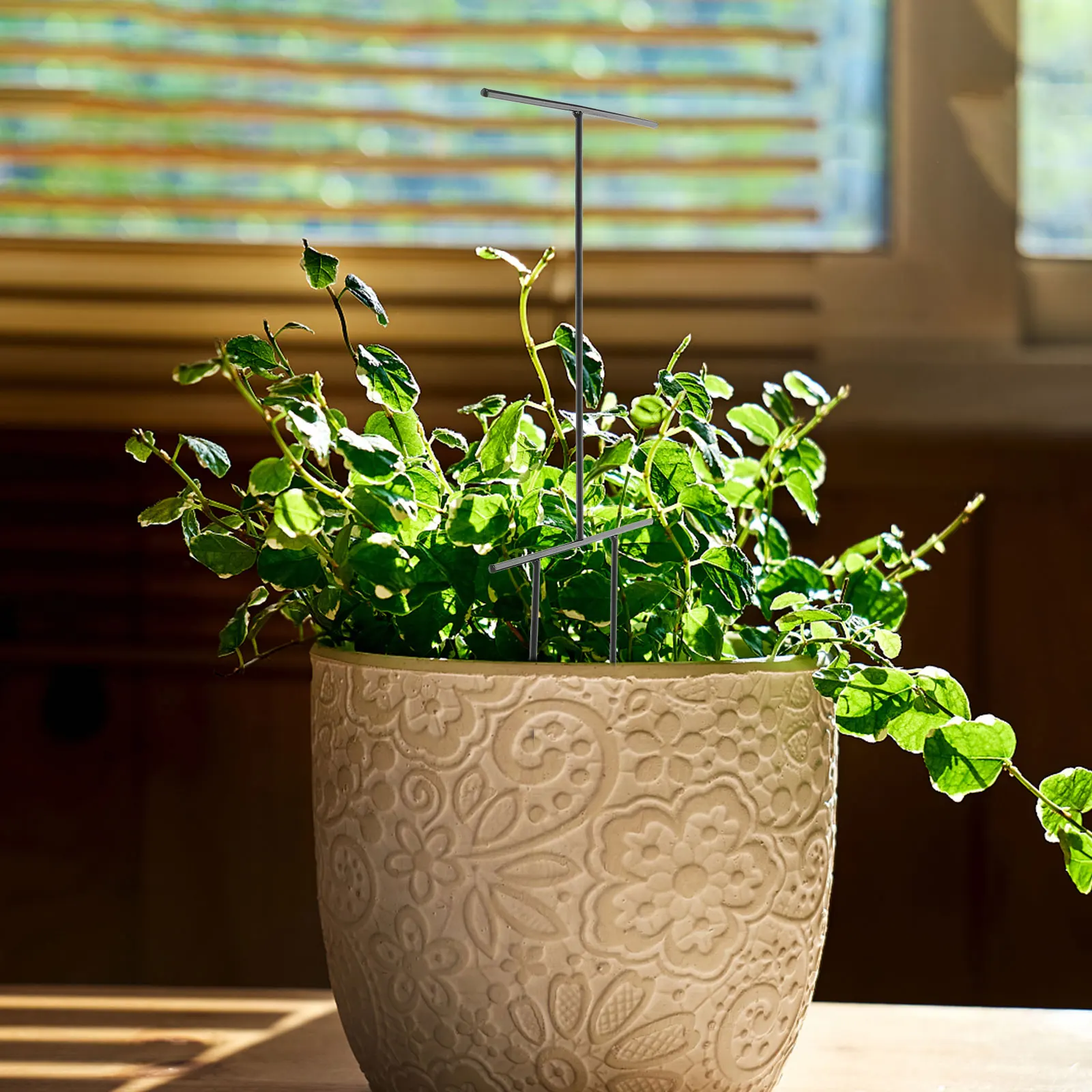 

3Pcs Garden Trellis for Climbing Plants Strong Metal Plant Support Rack Outdoor Indoor Green Plant Holder Orchid Climbing Rack