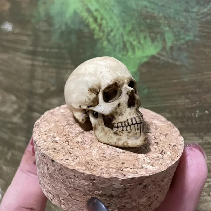 1/6 Scale Retro Human Skull Skeleton PVC Model Pendant Decorations 12in Action Figure Toys Accessory Aquariums Decoration New