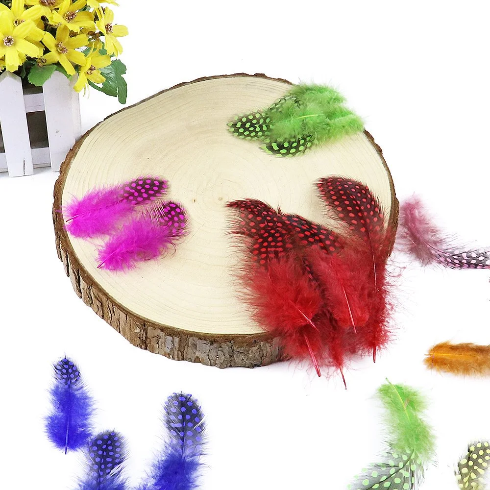 5-10Cm Natural Guin…