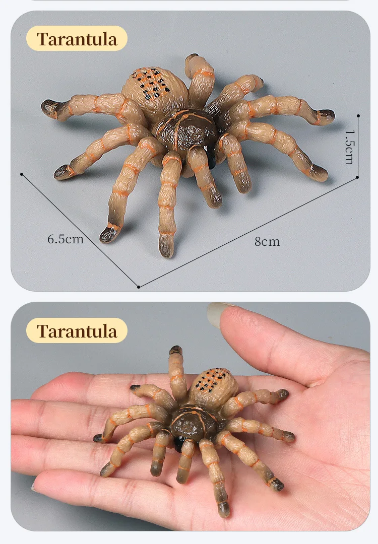 Pädagogische Insekten Spinne Spielzeug Zoo Action Figur Set Tier Welt Wissenschaft Kognitive Lernen Modell Simulation Dekor für Kinder – Detail 12