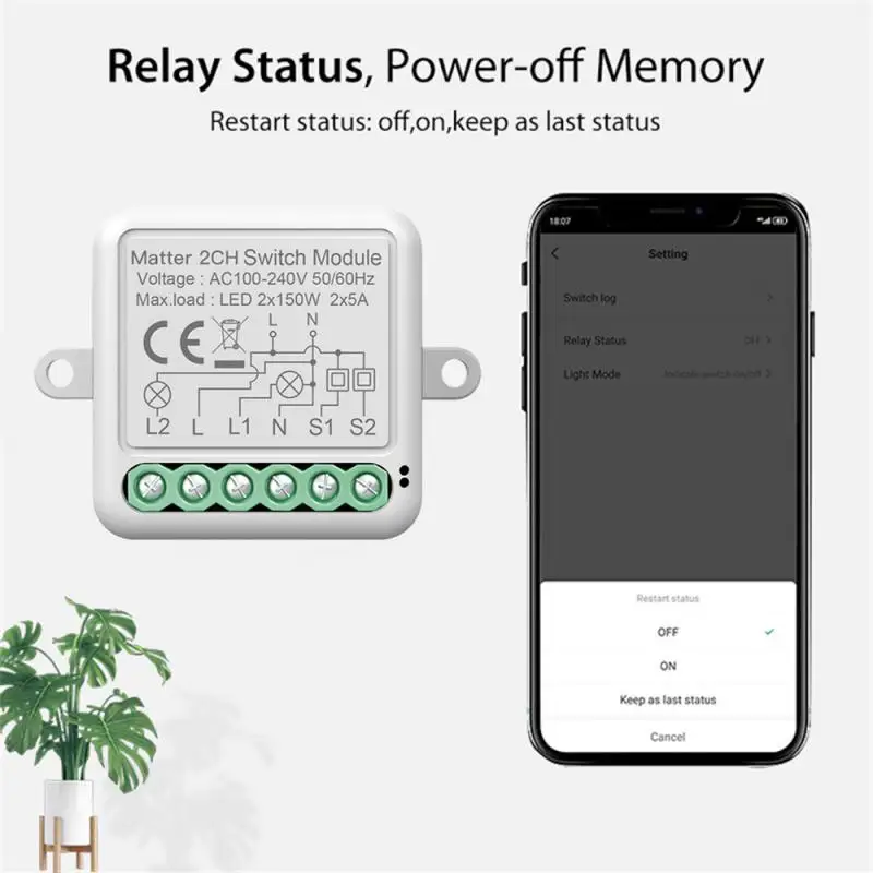 10A Matter Smart Switch, 1/2/3/4Gang Breaker Relay APP Control Remotrly Works With HomeKit Alexa Home AC100-240V