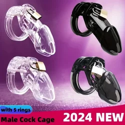 Hot Sale Male SM Penis Bondage Chastity Cage Abstinence Anti-Cheating Cock Cage with 5 Size Rings Male Gay Sex Toys 정조대