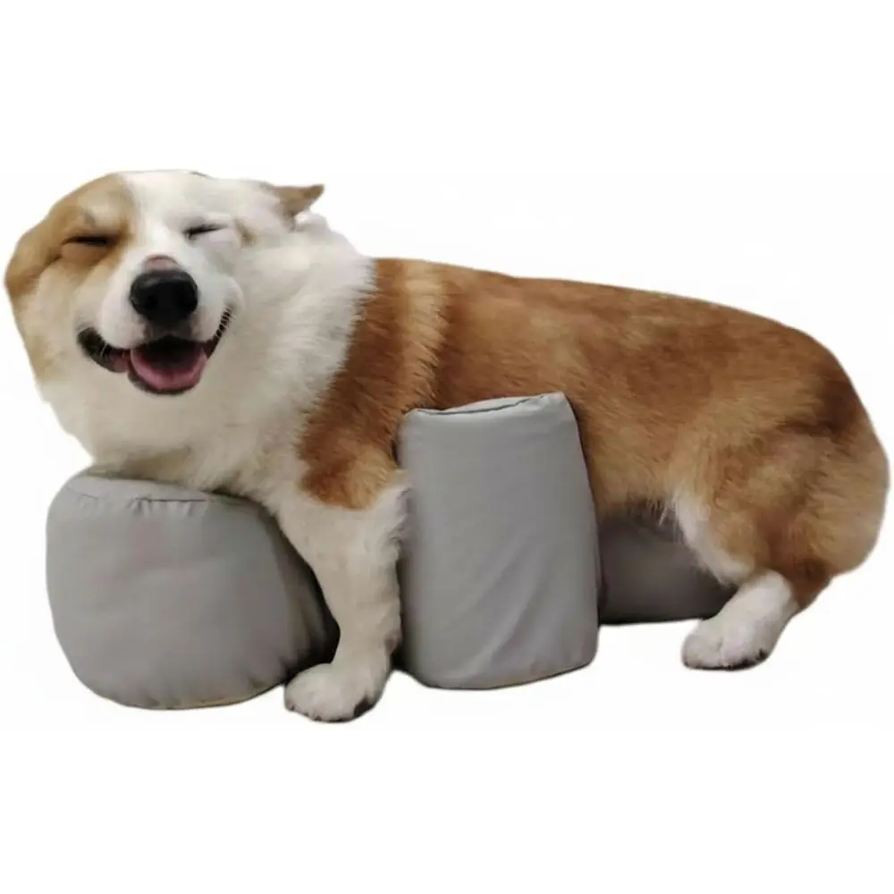 

Elevated Comfort Stool for Senior, Disabled, or Paralyzed Dogs - Gray, 3XL, Open-Crotch Design for Daily Care and Support