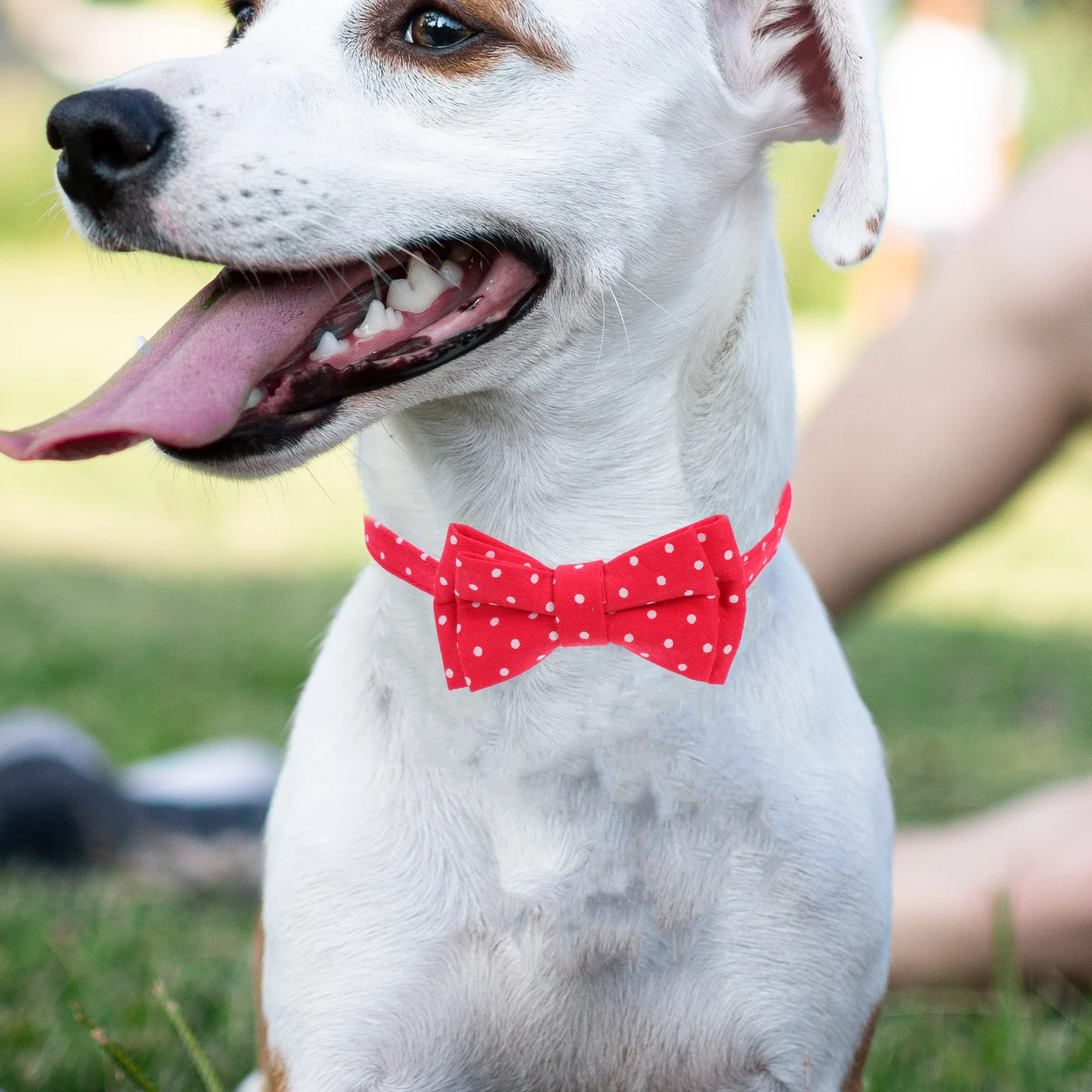 

Pet Bow Tie Collar for Small Dogs Adjustable Cotton Dog Collars Holiday Bowtie Male Female Christmas Red Blue Pink