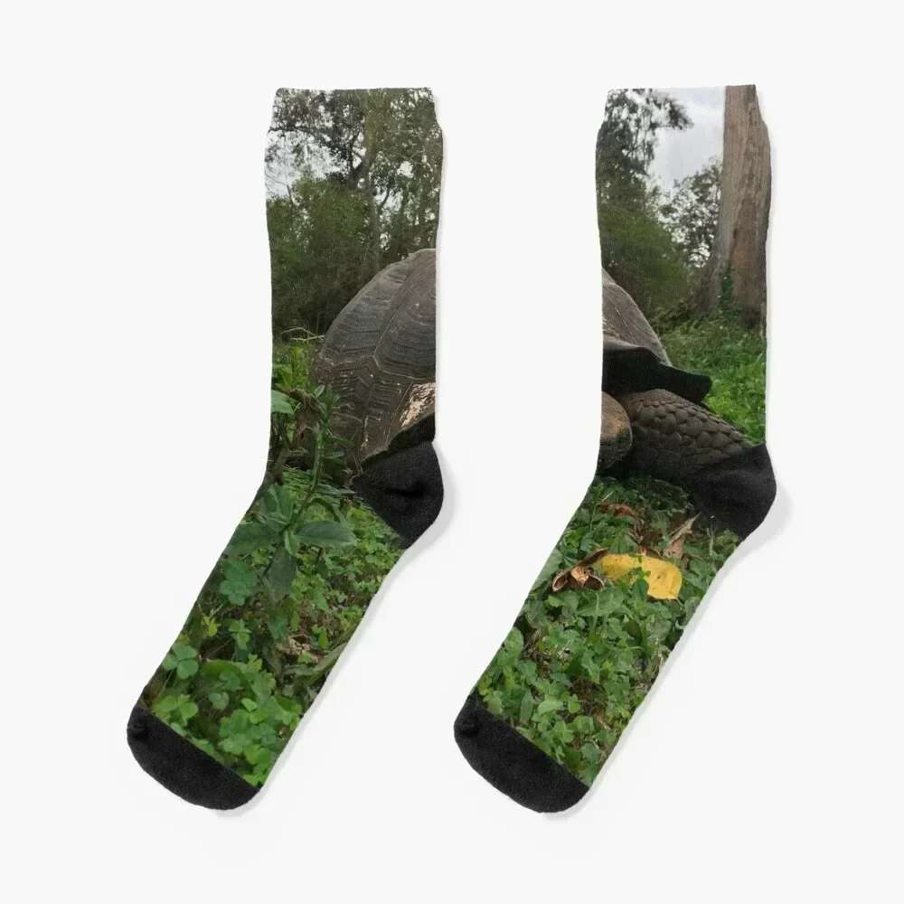 Galapagos Tortoise Socks Hiking boots warm winter hiking Rugby Socks Female Men's