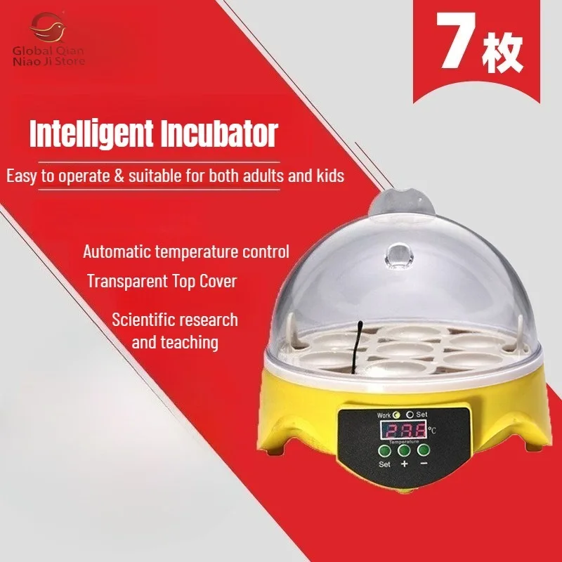 Mini 7-Egg Farm Incubator Equipment, Quail Incubator, Small Pigeon & Chicken Egg Incubation Machine, Mechanical Cabinet