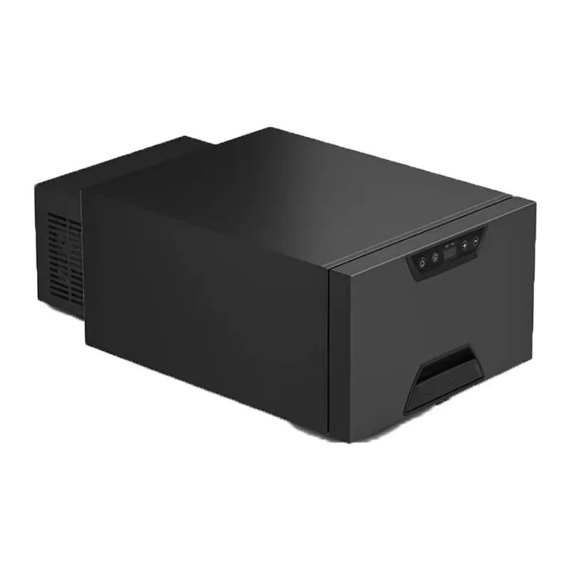 ثلاجة محمولة بدرج 30 لتر 12 فولت 24 فولت ثلاجة السيارة ضاغط الفريزر 12 فولت ثلاجة لـ RV