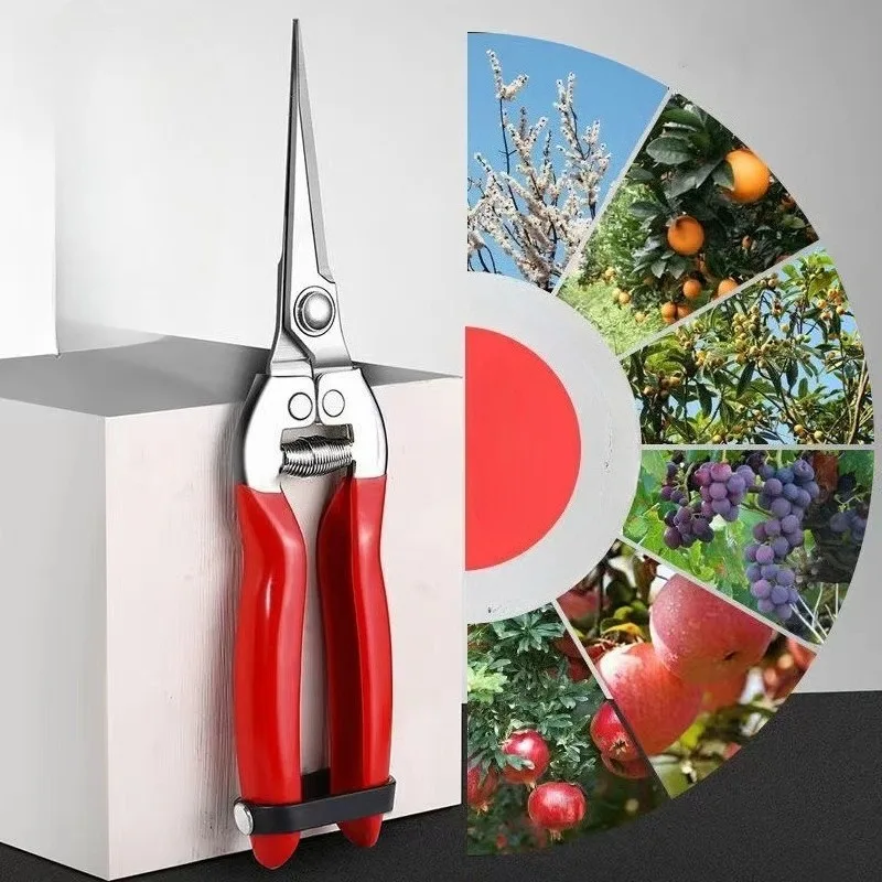 

Stainless Steel Pruning Shears, Fruit Tree Bonsai Shears, Fruit Thinning Tools, High-strength Steel Garden Tools Scissors