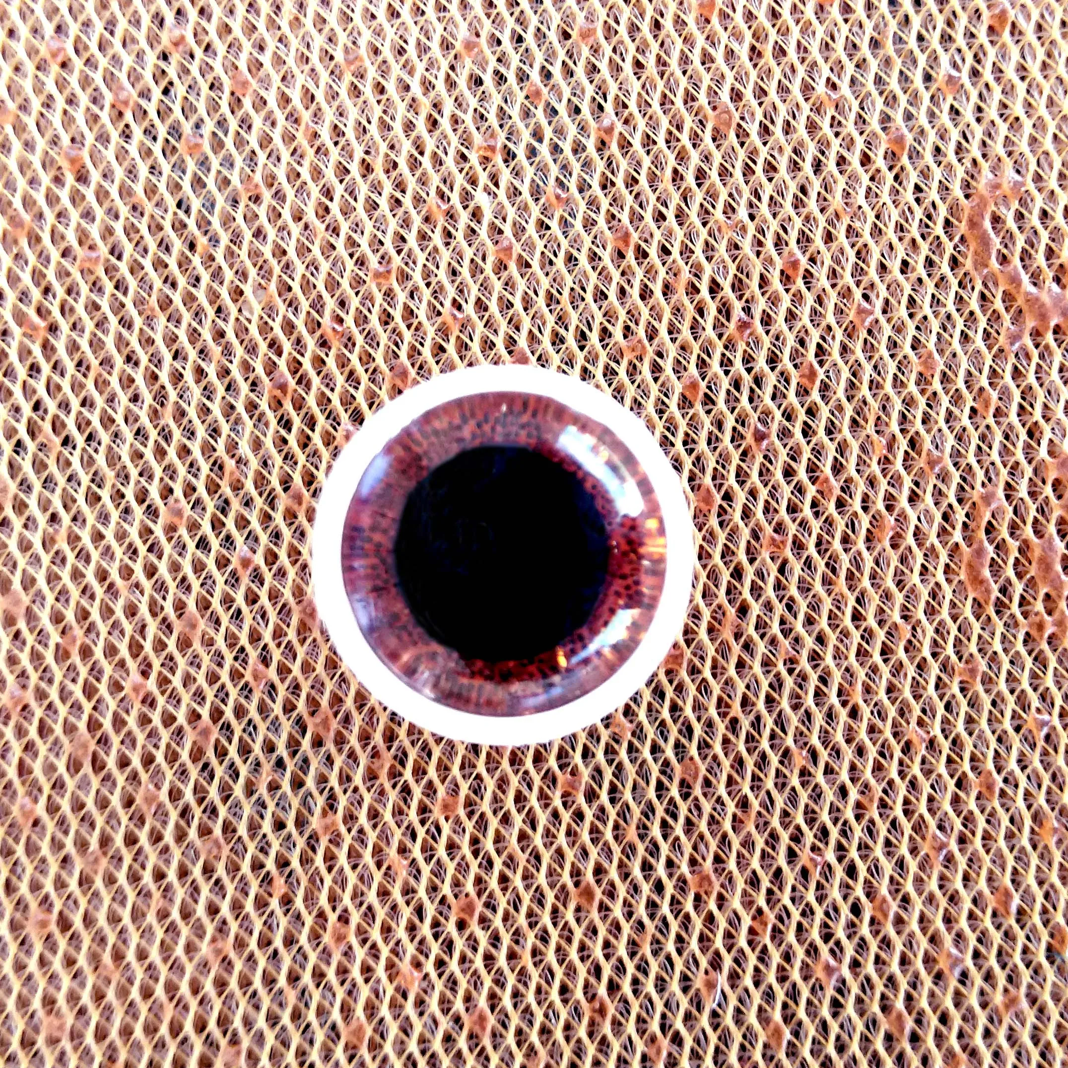 Hohe Qualität 48 stücke 3D Glitter Plüsch Kunststoff Sicherheits Augen Für Spielzeug Amigurumi Puppe Machen Augen Für Puppen Mix tier Box 12mm – Detail 5